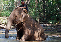 Cambodia to South Vietnam