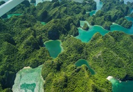 Vietnam - The Whole Story