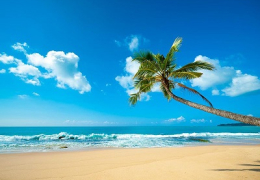 Classic Sri Lanka (With Yala &amp; Beach) 