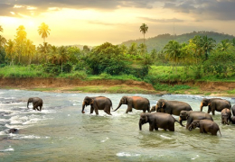 Family Adventure &amp; Fun (Winter)