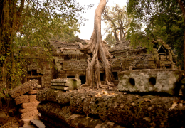Angkor Temples &amp; Vietnam Adventure