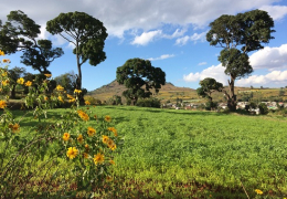 Myanmar Active Highlights