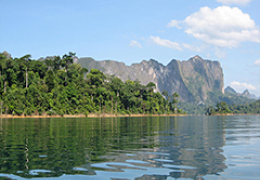 Southern Thailand Jungle Adventure