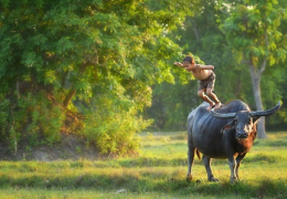 Indochina Highlights - Small Group Tour