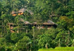 Top &amp; Tail Vietnam - North &amp; South