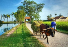 North &amp; Central Vietnam Soft Adventure 